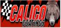 Calico Coatings--Bearings